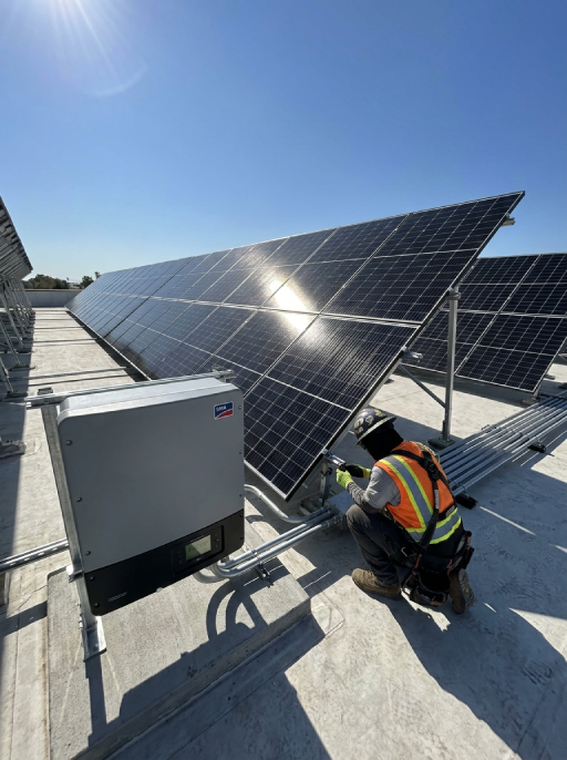 Jinko and Canadian Solar panels for sale
